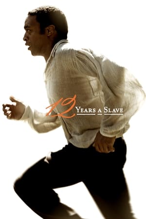 12 Years a Slave 2013 Dual Audio Hindi Full Movie 720p BluRay - 1.1GB HD Poster Download - filmyfly