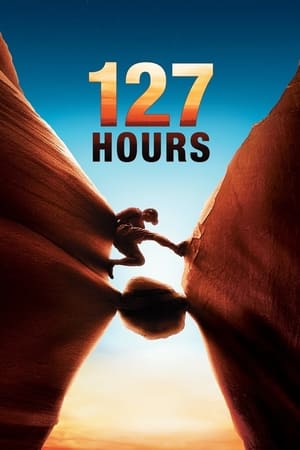 127 Hours (2010) Hindi Dual Audio 480p BluRay 330MB HD Poster Download - filmyfly