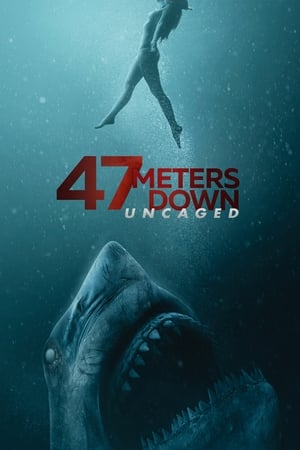 47 Meters Down: Uncaged (2019) Hindi Dual Audio 480p BluRay 400MB HD Poster Download - filmyfly