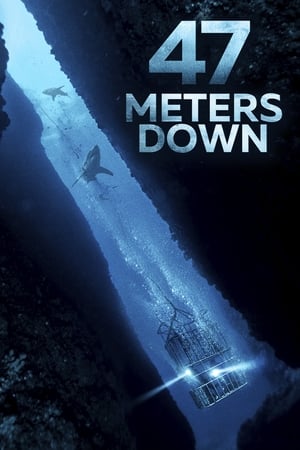 47 Metres Down (2017) Hindi Dual Audio 720p BluRay [850MB] HD Poster Download - filmyfly