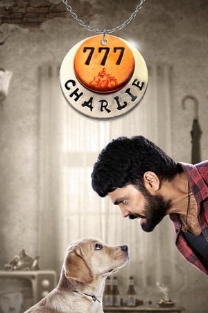 777 Charlie 2022 Hindi Audio WEB-DL 1080p - 720p - 480p HD Poster Download - filmyfly