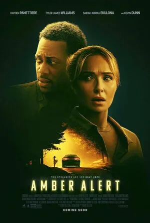 Amber Alert 2024 Hindi Dual Audio WEB-DL 1080p - 720p - 480p HD Poster Download - filmyfly