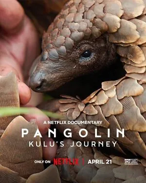 Pangolin: Kulu’s Journey 2025 Hindi Dual Audio WEB-DL 720p - 480p - 1080p HD Poster Download - filmyfly