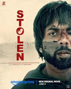 Stolen 2025 Hindi WEB-DL 720p - 480p - 1080p HD Poster Download - filmyfly