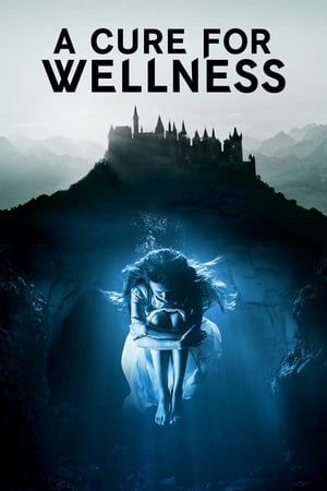 A Cure for Wellness 2016 400MB Hindi Dual Audio 480p Bluray Download HD Poster Download - filmyfly