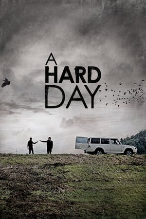 A Hard Day (2014) Hindi Dual Audio 480p BluRay 400MB HD Poster Download - filmyfly