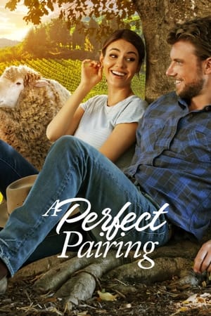 A Perfect Pairing (2022) Hindi Dual Audio HDRip 720p – 480p HD Poster Download - filmyfly