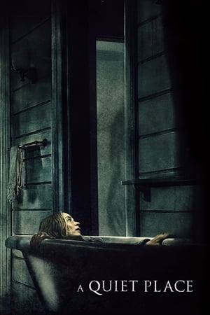 A Quiet Place 2018 Hindi Dual Audio 720p BluRay [800MB] HD Poster Download - filmyfly