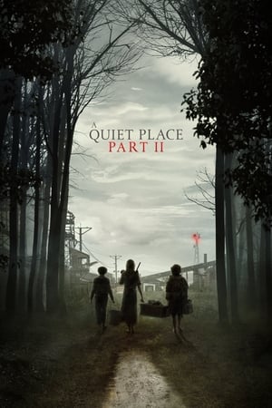 A Quiet Place Part II (2021) Hindi Dual Audio 480p HDRip 450MB HD Poster Download - filmyfly