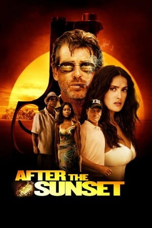 After The Sunset (2004) Hindi Dual Audio 480p BluRay 320MB HD Poster Download - filmyfly