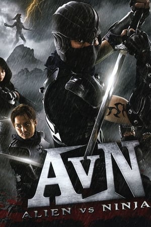 Alien vs Ninja 2010 Hindi Dual Audio 720p Web-DL [650MB] HD Poster Download - filmyfly