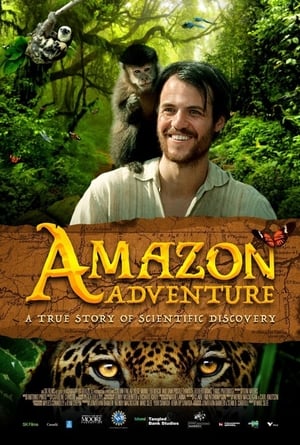 Amazon Adventure 2017 Hindi Dubbed 720p HDRip [1.3GB] HD Poster Download - filmyfly