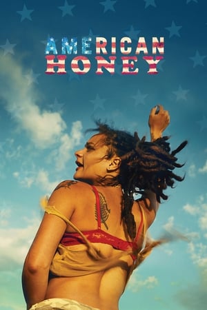 American Honey (2016) Hindi Dual Audio 720p BluRay [1.4GB] HD Poster Download - filmyfly