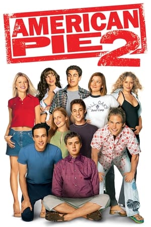 American Pie 2 (2001) Hindi Dual Audio 480p BluRay 375MB HD Poster Download - filmyfly