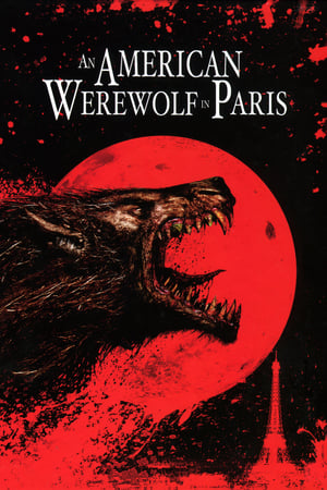 An American Werewolf in Paris 1997 Hindi Dual Audio 480p BluRay 300MB HD Poster Download - filmyfly