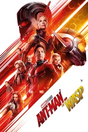 Ant-Man and the Wasp 2018 Movie (English) 720p HDCAM [900MB] HD Poster Download - filmyfly