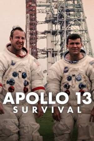 Apollo 13: Survival (2024) Hindi Dual Audio HDRip 1080p – 720p – 480p HD Poster Download - filmyfly