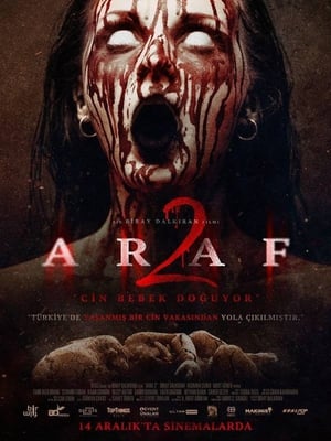 Araf 2 2019 Hindi Dual Audio 720p Web-DL [750MB] HD Poster Download - filmyfly
