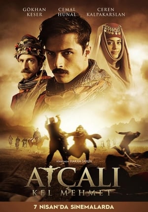 Atçali Kel Mehmet (2017) Hindi Dual Audio 720p HDTVRip [1GB] HD Poster Download - filmyfly