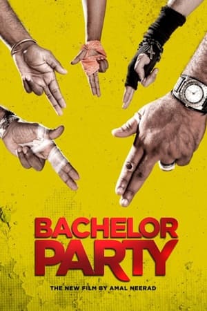 Bachelor Party (2012) (Hindi – Malayalam) Dual Audio 480p UnCut HDRip 400MB HD Poster Download - filmyfly