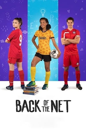 Back of the Net (2019) Hindi Dual Audio 720p Web-DL [800MB] HD Poster Download - filmyfly