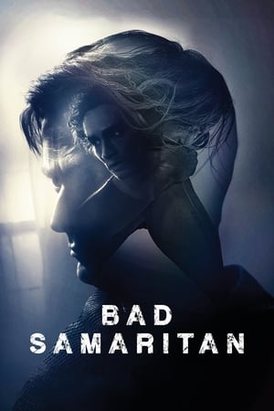 Bad Samaritan (2018) Hindi Dual Audio 480p BluRay 400MB HD Poster Download - filmyfly
