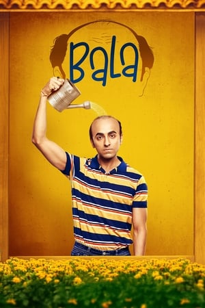 Bala 2019 Hindi Movie 480p HDRip - [400MB] HD Poster Download - filmyfly