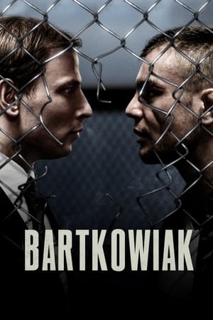 Bartkowiak (2021) Hindi Dual Audio 480p HDRip 300MB HD Poster Download - filmyfly
