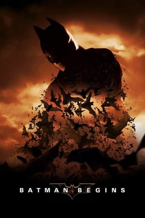 Batman Begins (2005) Hindi Dual Audio Bluray 720p [980MB] Download HD Poster Download - filmyfly