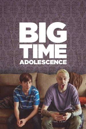 Big Time Adolescence (2019) Hindi Dual Audio HDRip 720p – 480p HD Poster Download - filmyfly