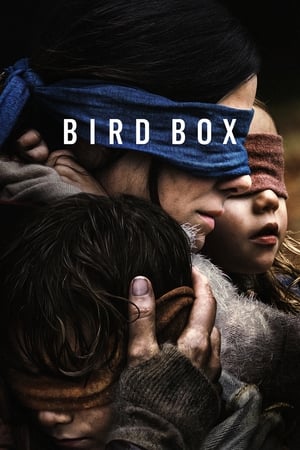 Bird Box 2018 Hindi (HQ DUBBED) Dual Audio 720p WehRip [1.1GB] HD Poster Download - filmyfly