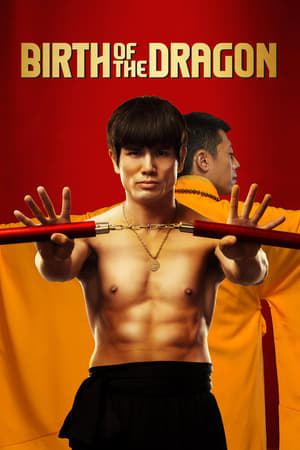 Birth of the Dragon (2016) Hindi Dual Audio 720p BluRay [1.2GB] HD Poster Download - filmyfly
