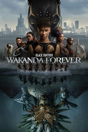 Black Panther: Wakanda Forever 2022 Hindi (ORG) Dual Audio BluRay 720p – 480p HD Poster Download - filmyfly