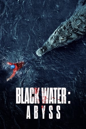 Black Water: Abyss (2020) Hindi Dual Audio 720p HDRip [950MB] HD Poster Download - filmyfly