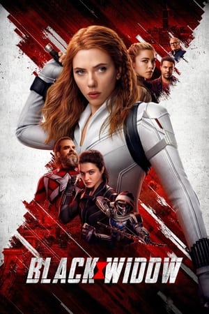 Black Widow (2021) Hindi Dual Audio 480p HDRip 450MB HD Poster Download - filmyfly