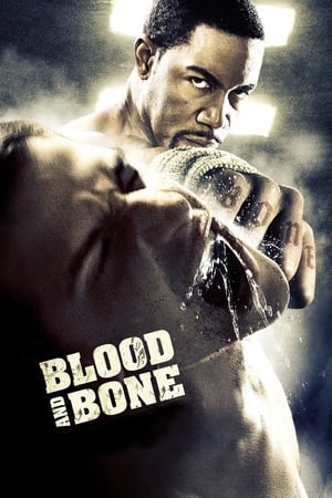 Blood and Bone (2009) Hindi Dual Audio 720p BluRay [950MB] HD Poster Download - filmyfly