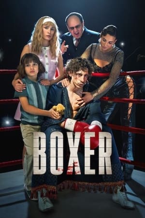 Boxer (2024) Hindi Dual Audio HDRip 1080p – 720p – 480p HD Poster Download - filmyfly