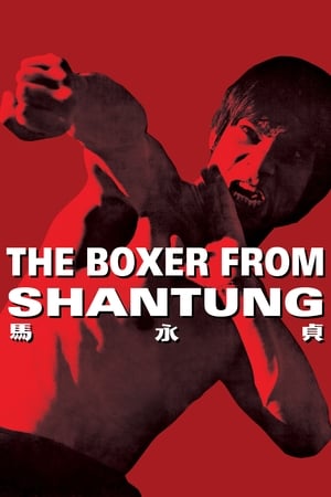 Boxer from Shantung (1972) Hindi Dual Audio 720p BluRay [1.2GB] HD Poster Download - filmyfly