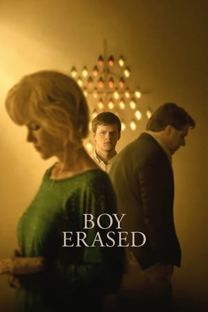 Boy Erased (2018) Hindi Dual Audio 720p BluRay [900MB] HD Poster Download - filmyfly