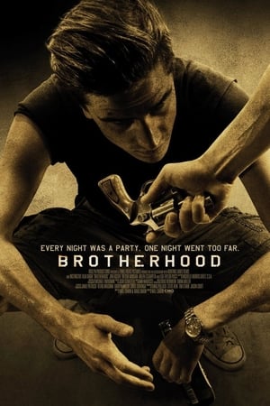 Brotherhood (2010) Hindi Dual Audio HDRip 720p – 480p HD Poster Download - filmyfly