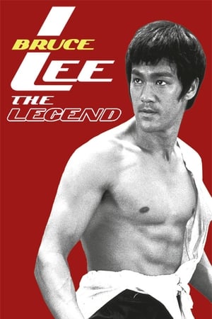 Bruce Lee the Legend 1984 Hindi Dual Audio 720p HDTVRip [1GB] HD Poster Download - filmyfly