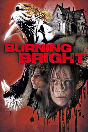 Burning Bright (2010) Hindi Dual Audio 480p BluRay 300MB HD Poster Download - filmyfly