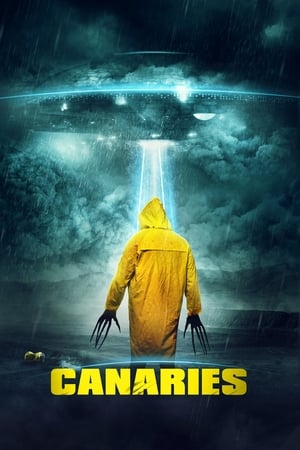 Canaries (2017) Hindi Dual Audio 480p WebRip 300MB HD Poster Download - filmyfly