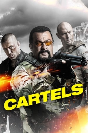 Cartels 2017 Hindi Dual Audio 720p BluRay [900MB] HD Poster Download - filmyfly