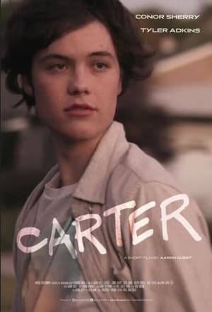 Carter (2022) Hindi Dual Audio HDRip 720p – 480p HD Poster Download - filmyfly