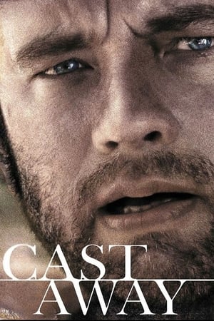 Cast Away 2000 Hindi Dual Audio 720p BluRay [1GB] ESubs HD Poster Download - filmyfly