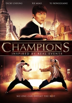 Champions (2008) Hindi Dual Audio 720p HDRip [1.1GB] HD Poster Download - filmyfly