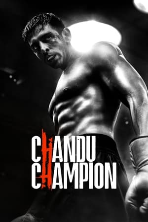 Chandu Champion 2024 Hindi HDRip 720p – 480p – 1080p HD Poster Download - filmyfly