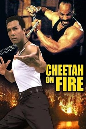 Cheetah on Fire 1992 Hindi Dual Audio 480p Web-DL 290MB HD Poster Download - filmyfly