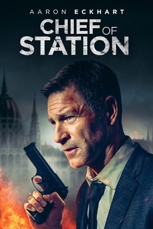 Chief of Station 2024 Hindi Dual Audio HDRip 1080p – 720p – 480p HD Poster Download - filmyfly